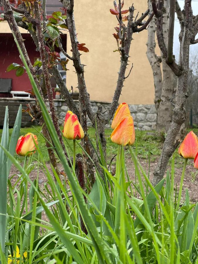 Casita Bonita Villa Castejón de Sos Eksteriør billede