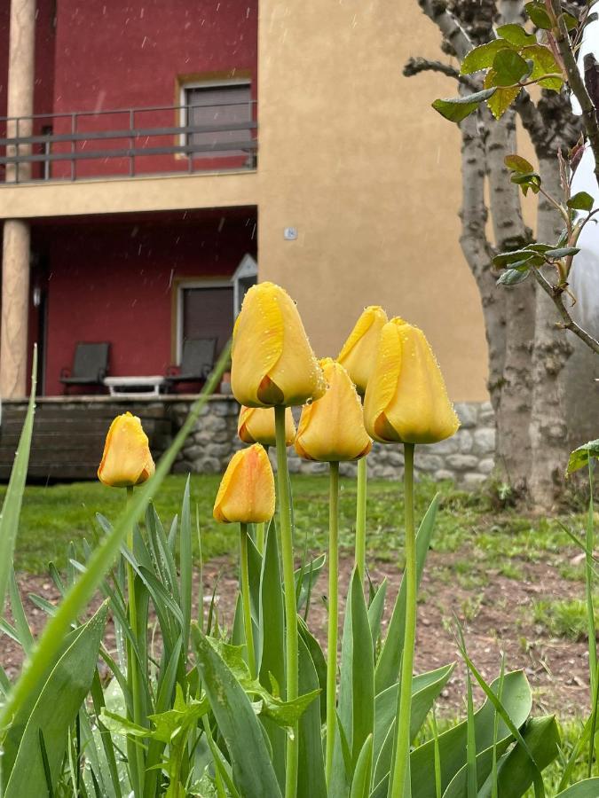Casita Bonita Villa Castejón de Sos Eksteriør billede